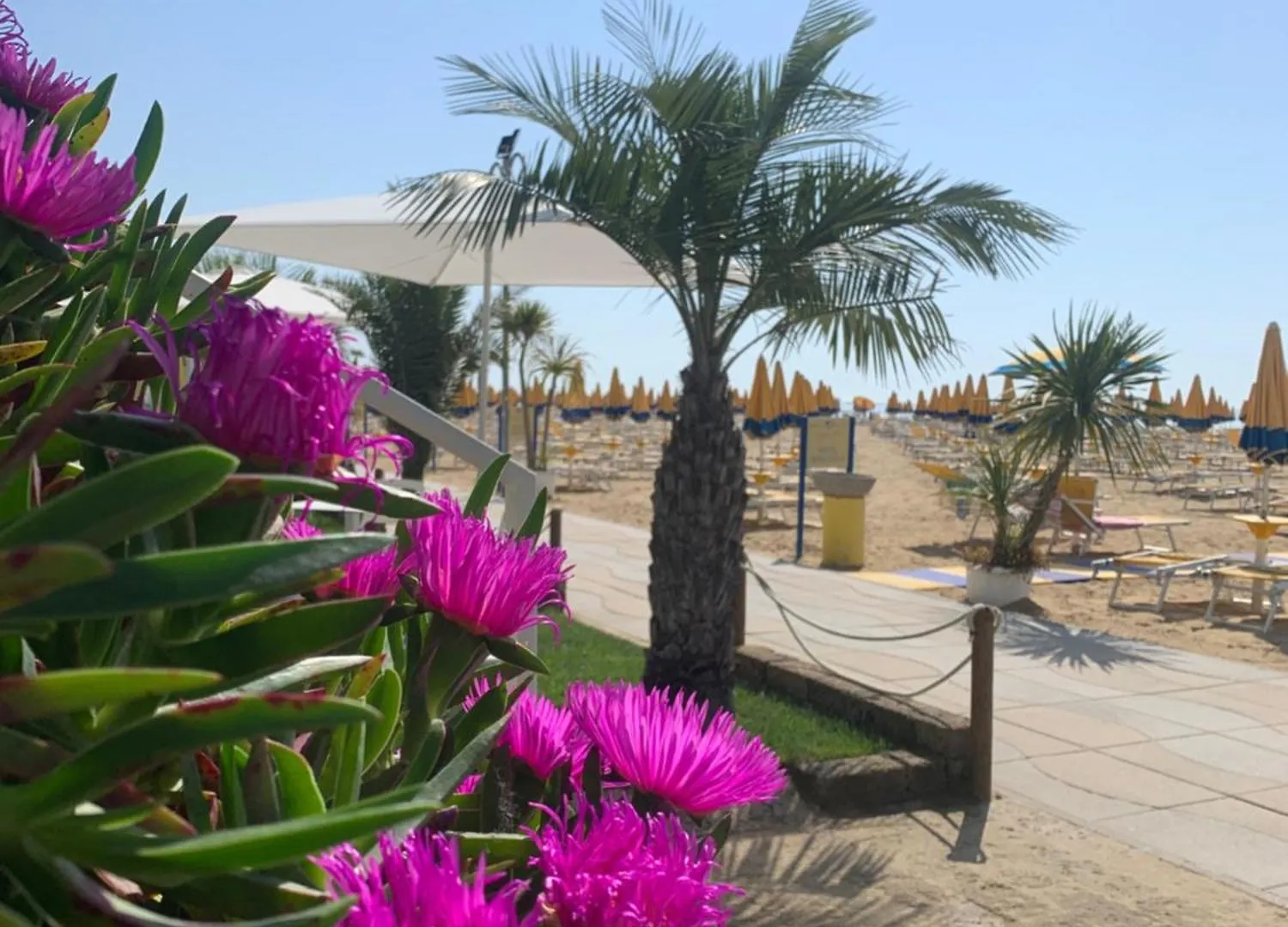 Hotel Nizza Frontemare Superior 3 Stelle Lido di Jesolo